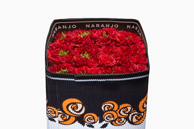Ecuadorian Roses (Red Eye 40CM-60CM) (25 Roses Per Bundle)
