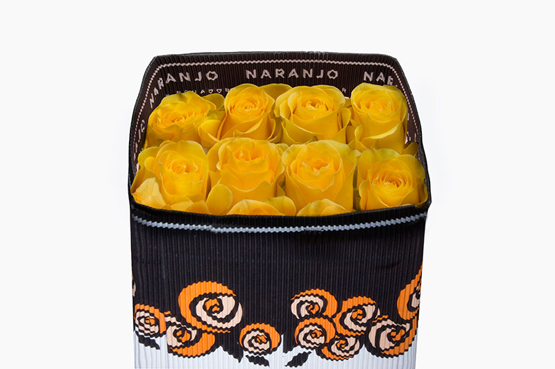 Ecuadorian Roses (Brighton 40CM-60CM) (25 Roses Per Bundle)