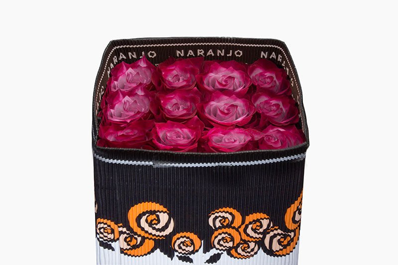 Ecuadorian Roses (Deep Purple 40CM-60CM) (25 Roses Per Bundle)