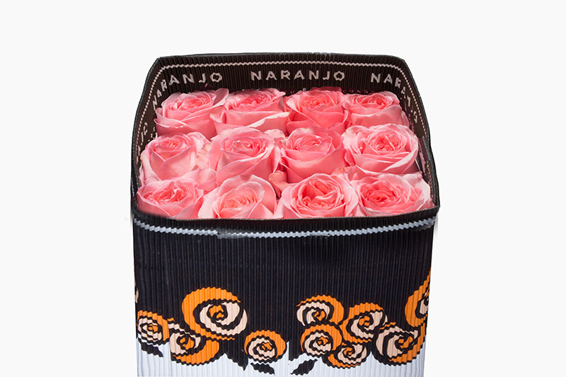Ecuadorian Roses (Pink Xpression 40CM-60CM) (25 Roses Per Bundle)