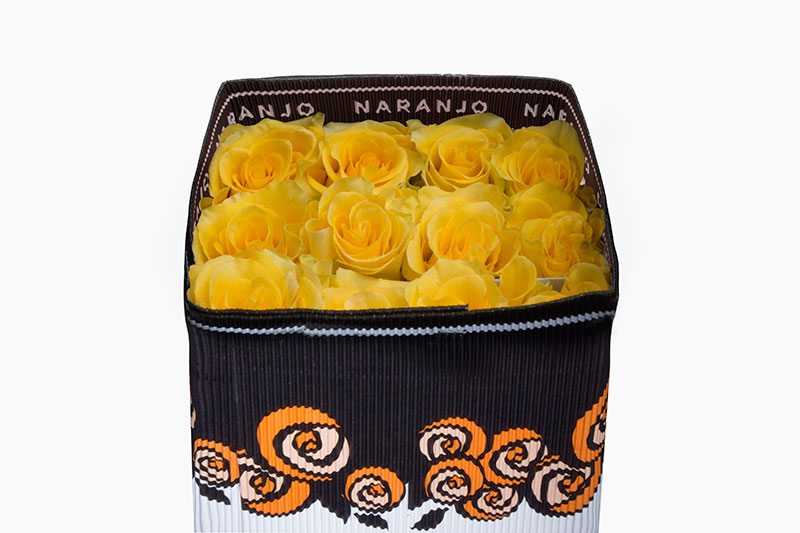 Ecuadorian Roses (Regatta 40CM-60CM) (25 Roses Per Bundle)