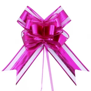 fuchsia-ribbon-bow