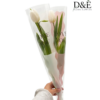 Romantic single stem flower sleeve florist supplies D&E Floral Supplies single rose sleeves packaging